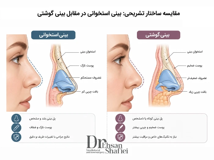 مقایسه ساختار پوست و غضروف بینی استخوانی و گوشتی